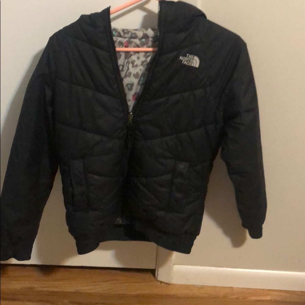 Winter jacket north face